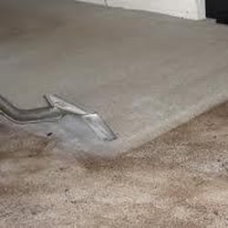 Cleaning Gainesville Fl Florida Allclean Inc Carpet Cleaning Gainesville Fl