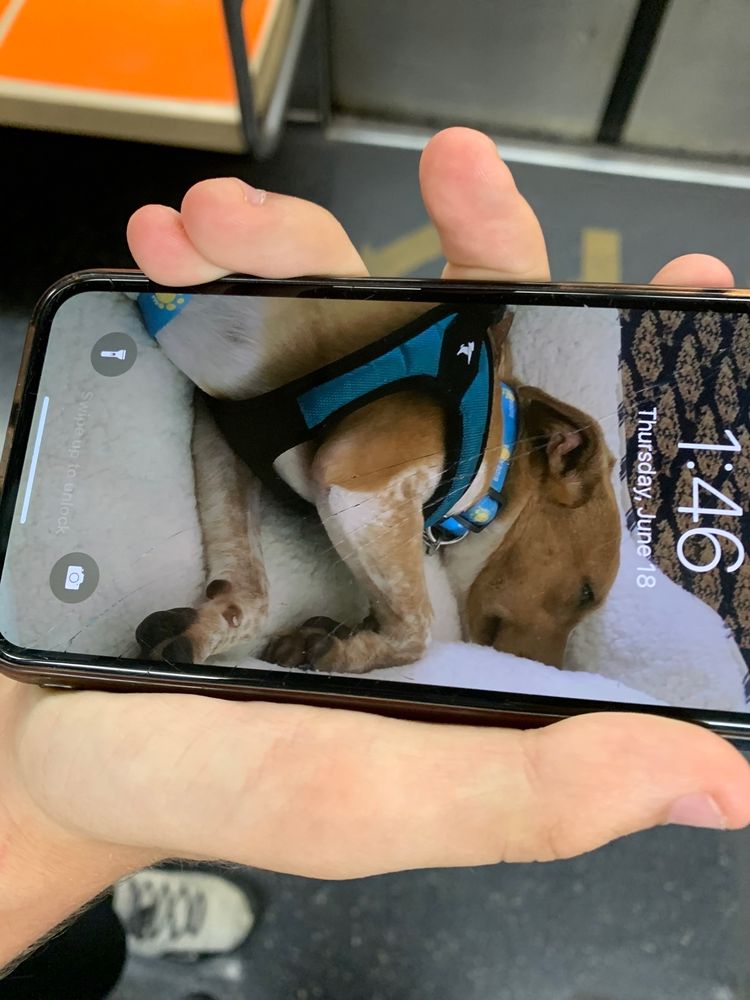 Amsterdam iPhone & iPad Screen Repair