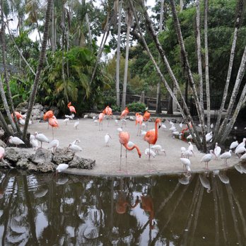 Flamingo Gardens - 972 Photos & 160 Reviews - Botanical Gardens - 3750