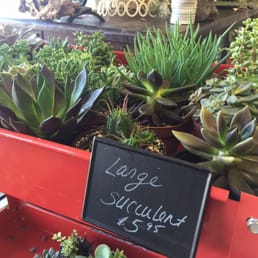 Photos for Classics Flowers and Confections - Yelp