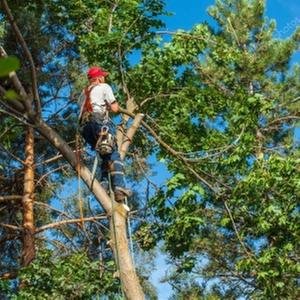 Ecopro Outdoor Solutions