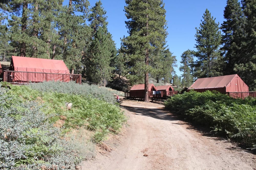 My Husband Randy Built These Platforms In 2013 At Camp Osito Rancho Big Bear Lake Big Bear Lake California Big Bear Lake Big Bear