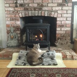 Hearth, Holly, & Honor