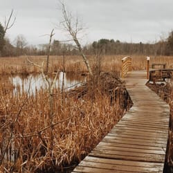 ipswich topsfield steph