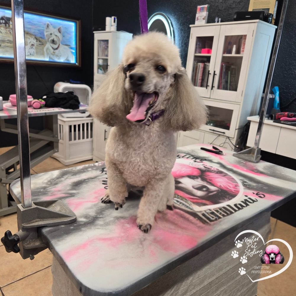 Master Pet Styling Image