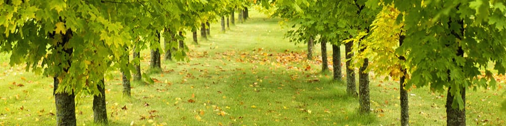 image of business Heath Tractor and Backhoe Service