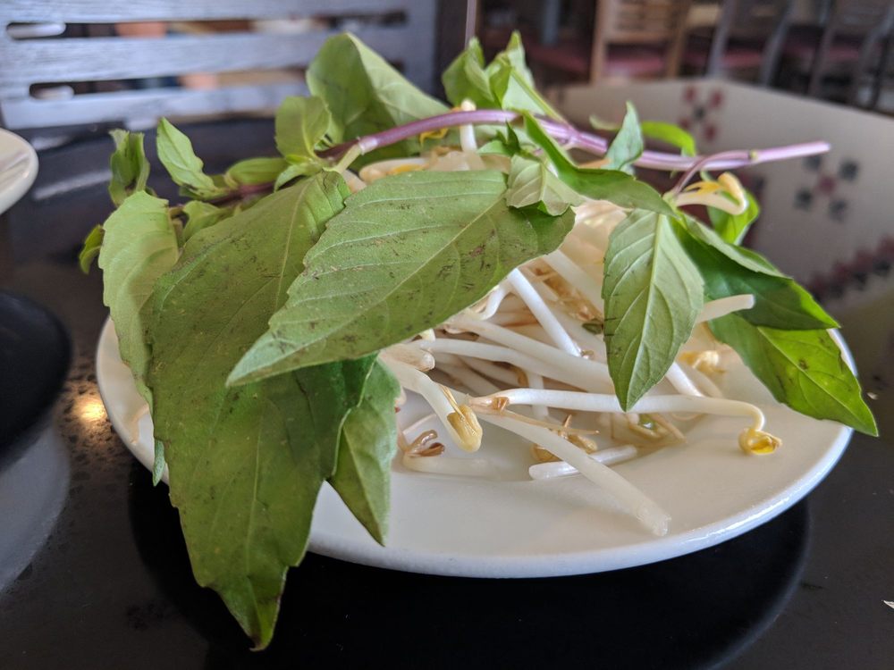 Pho Viet Noodle