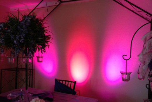 Premier Party Rentals
