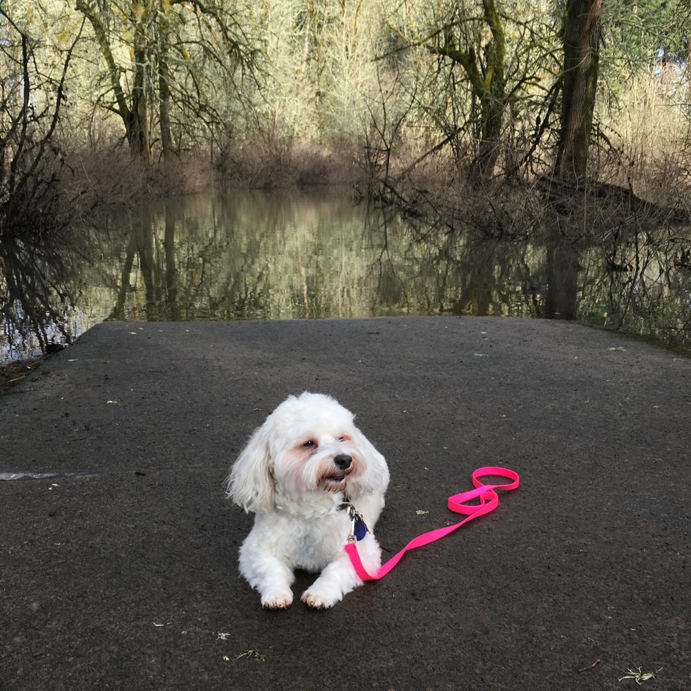 Hillsboro Craigslist Dating Replacement Sites Like Craigslist Personals