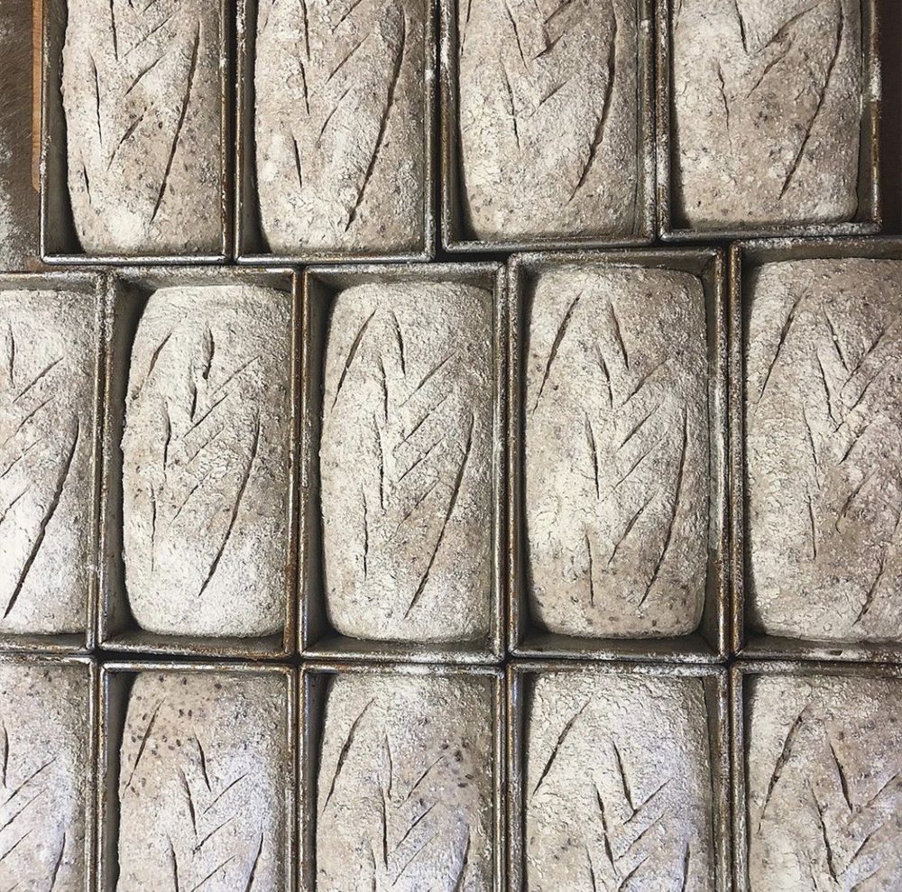 JoshFox Bread