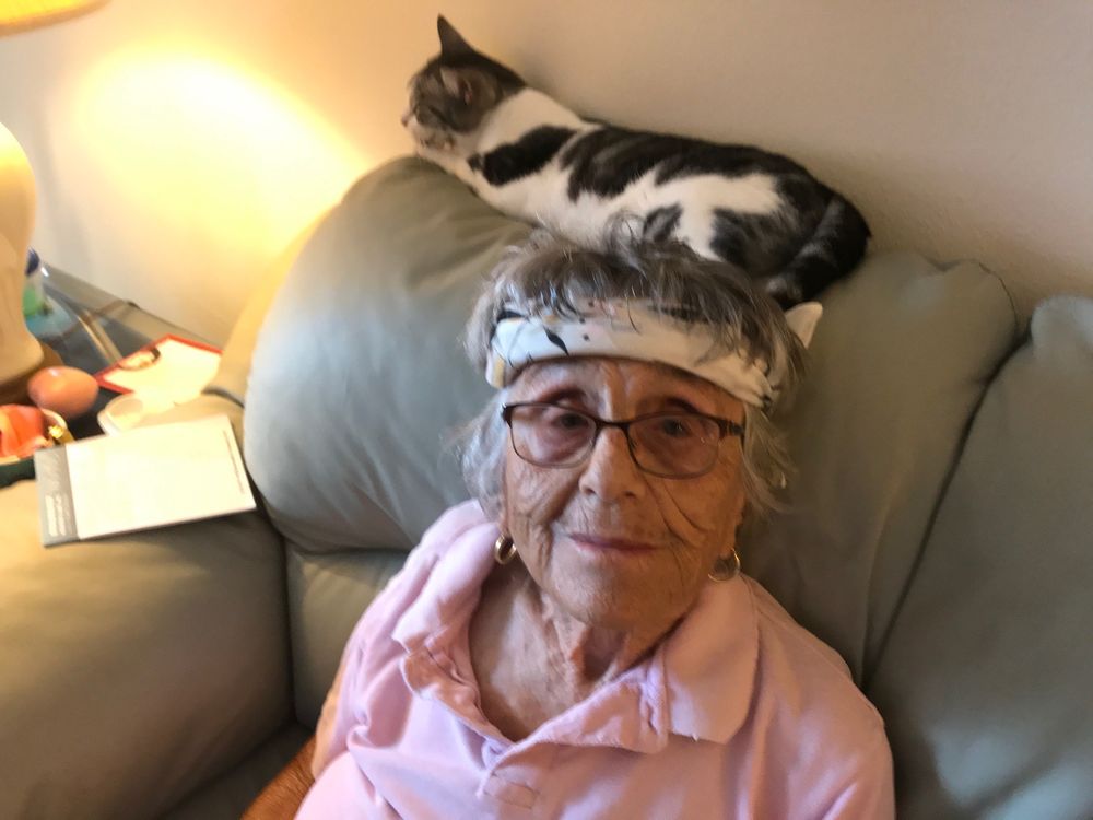 image of business Boulevard Dental