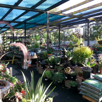 Sloat Garden Center Nurseries Gardening 6740 Alhambra Ave Photo Of Sloat Garden Center Martinez Ca United States