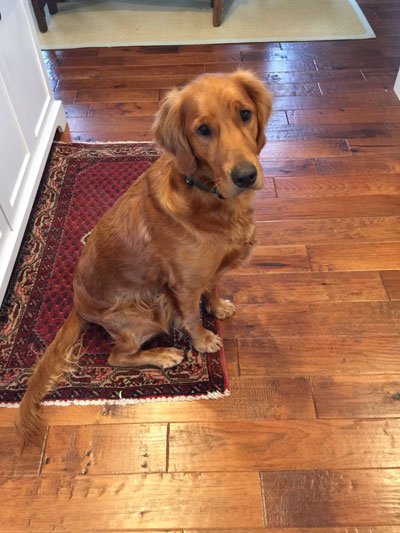 image of business Crow Hill Hardwoods