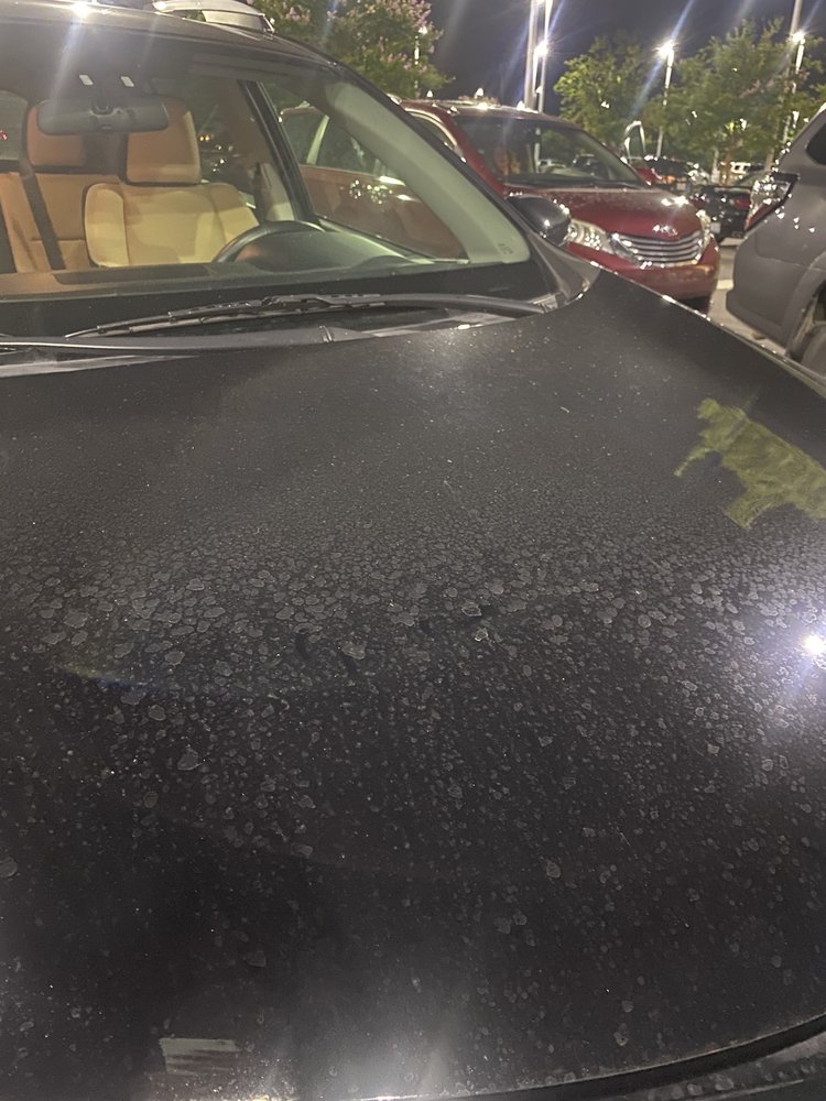 Tidal Wave Auto Spa of Apex