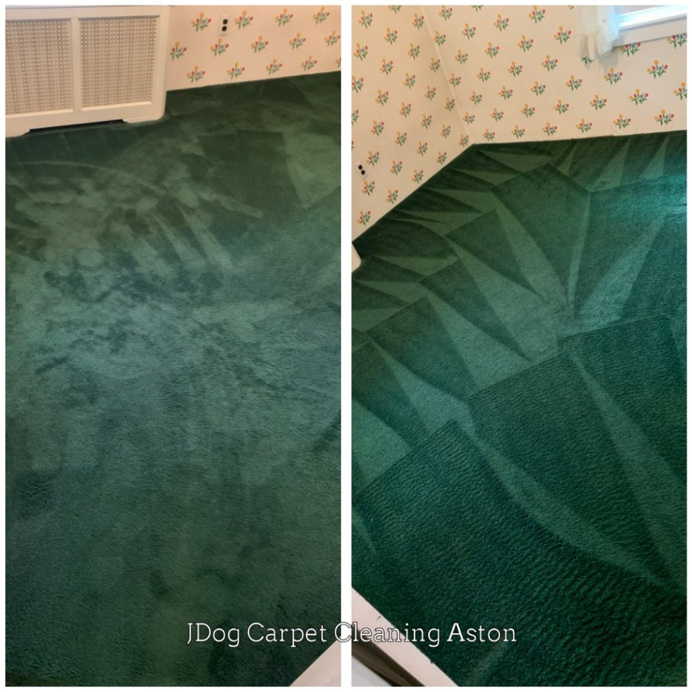 JDog Carpet Cleaning Aston & Southern Chester County