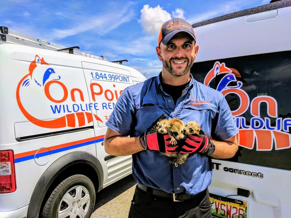 On Point Wildlife Removal -Sebastian