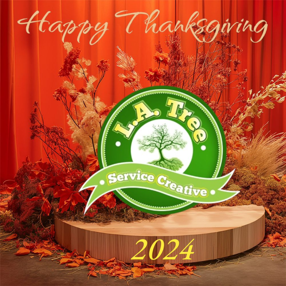 LA Tree Service Creative Corp