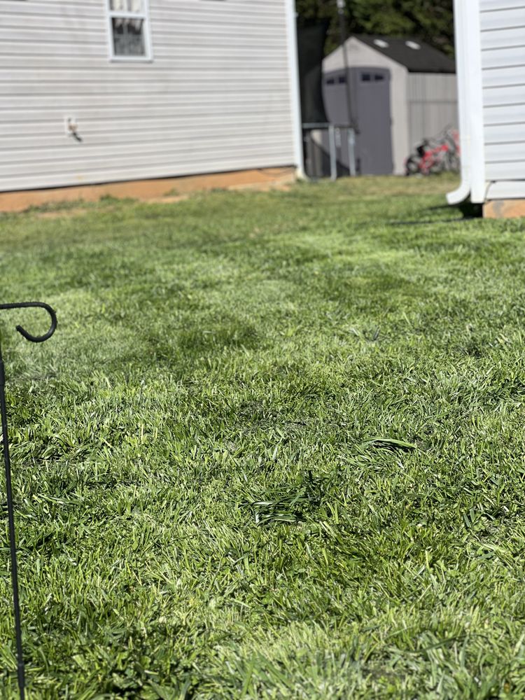 L&B Lawn Care Services