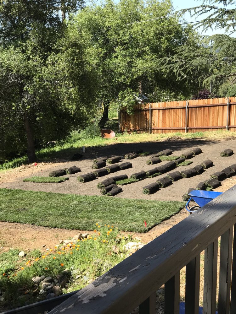 A M Gardening 22 Photos Landscaping Placerville Ca Phone A M