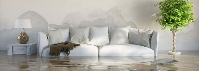 Restoration Carolina