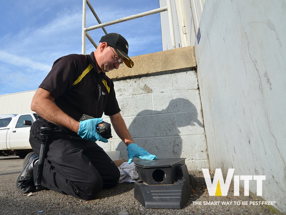 Witt Pest Management