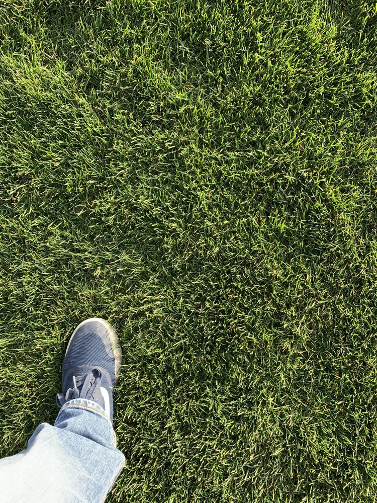 Manny's Turf Solutions
