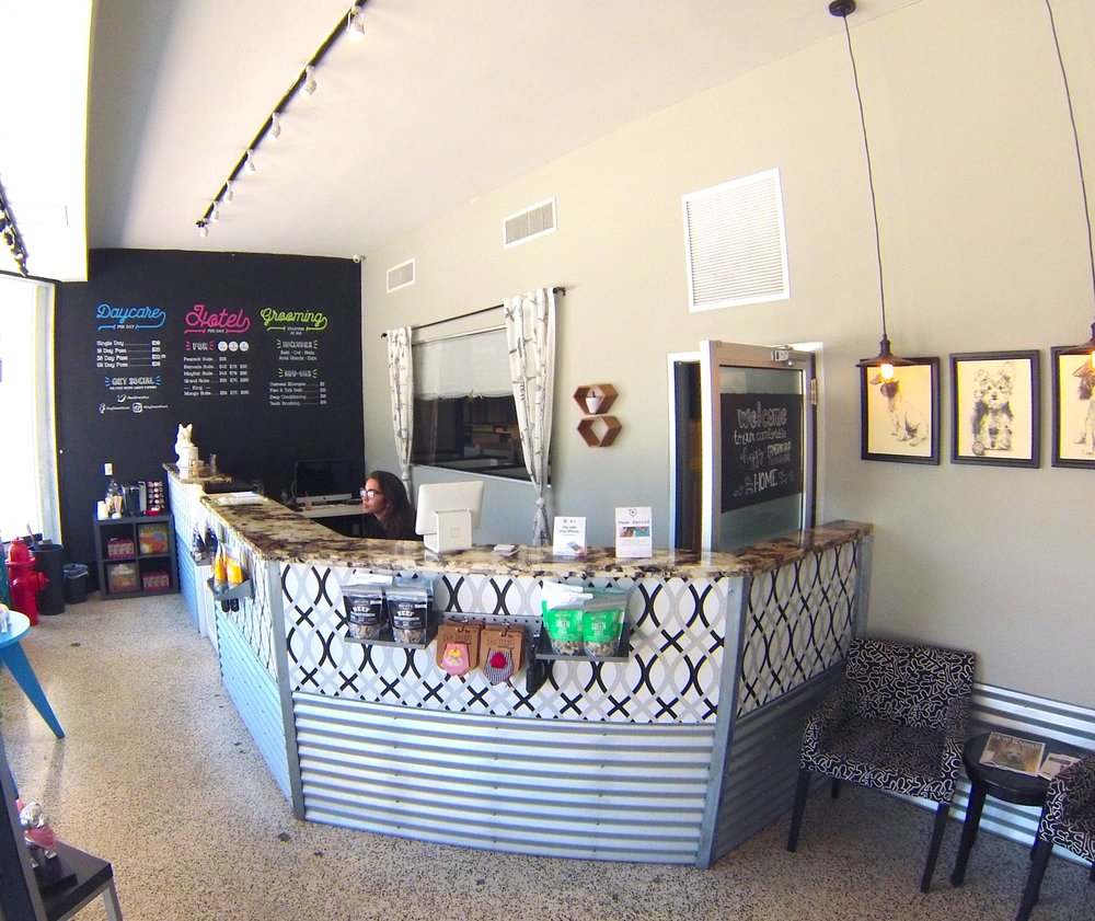 Dogtown 38 Photos & 44 Reviews Pet Sitting Miami, FL 3210 Grand