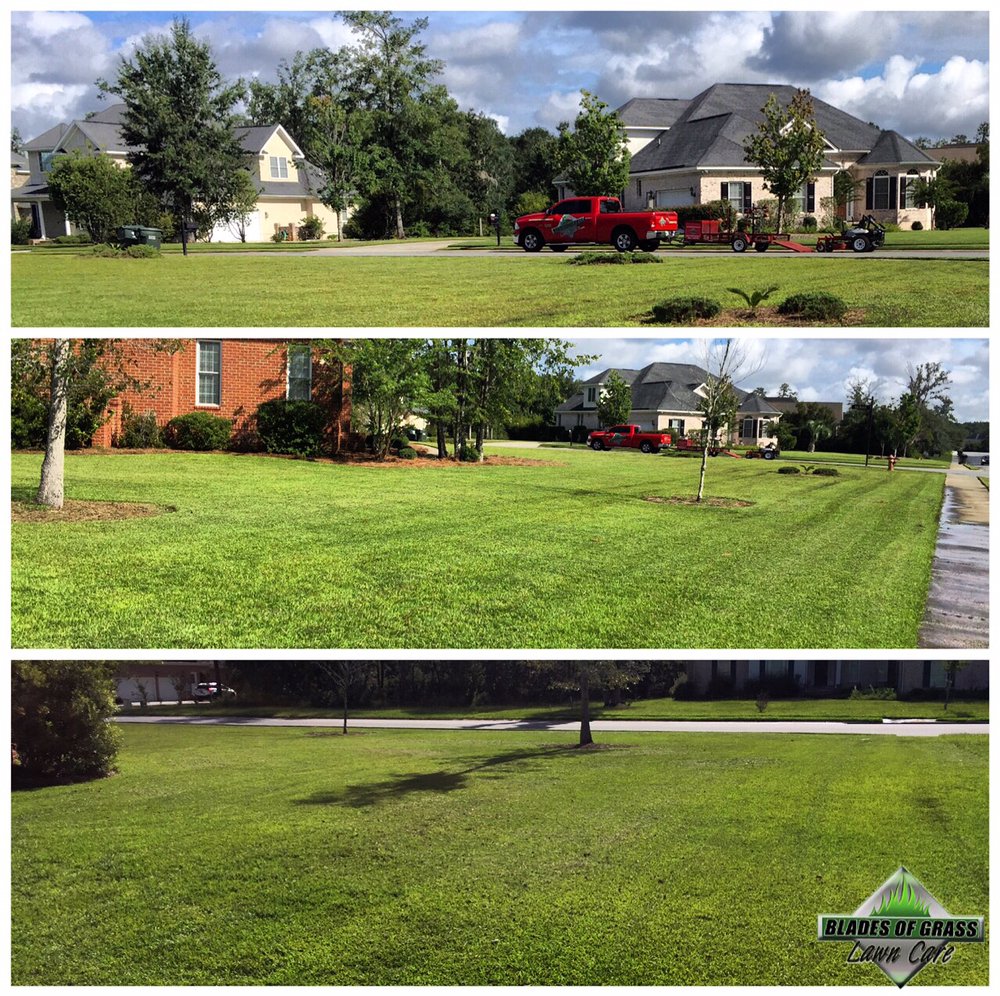 Blades of Grass Lawn Care, LLC 76 Photos Landscaping Savannah, GA