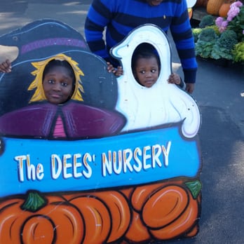 Dee S Nursery Florist The Inc 46 Photos 45 Reviews Nurseries Photo Of Dee S Nursery Florist The Inc Oceanside Ny United States