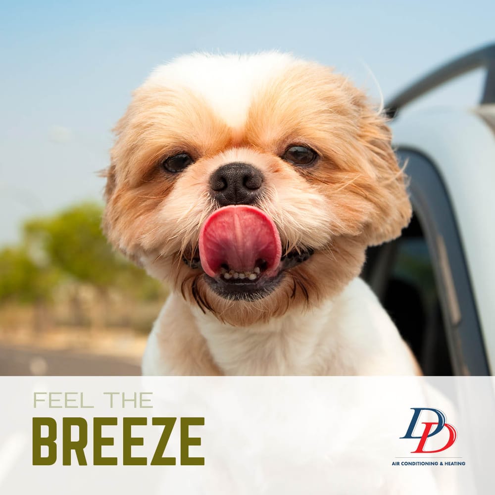 image of business D & D Air Conditioning & Heating Inc