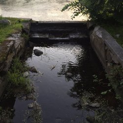 Francis William Bird Park 93 Photos Parks 75 Wolcott Ave Photo Of Francis William Bird Park Walpole Ma United States Very Serene