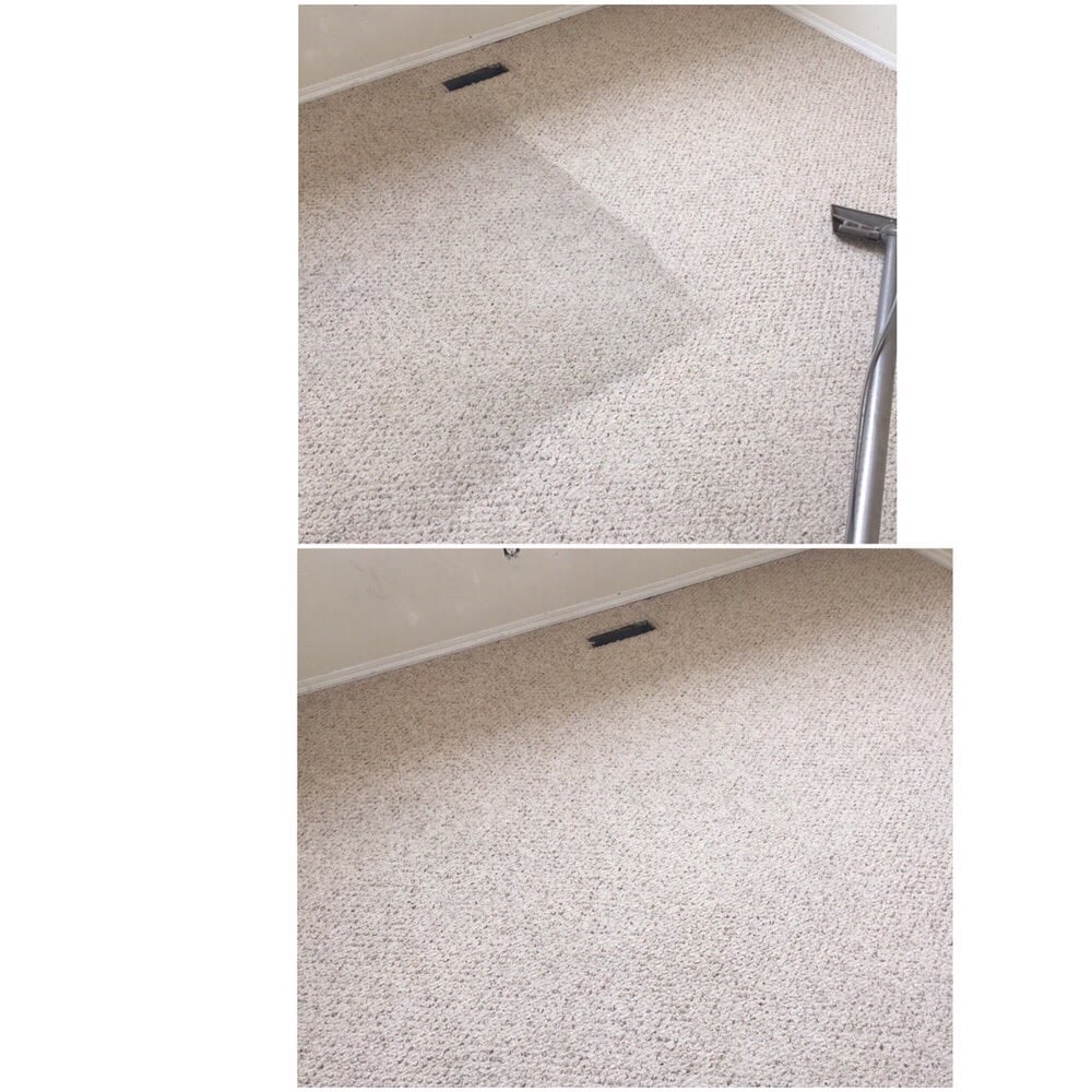 Interior Carpet Care