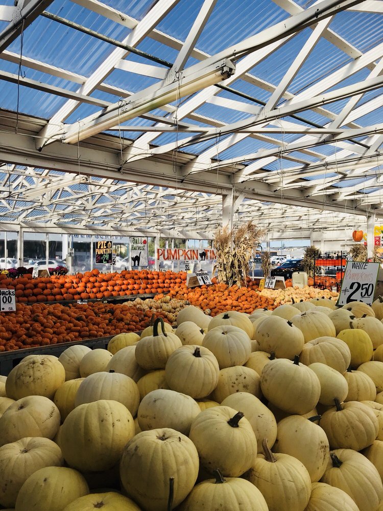 Carpinito Brothers 162 Photos & 126 Reviews Nurseries & Gardening