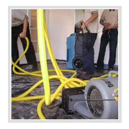 Carpet Cleaning North Hollywood 16 Photos About Carpet Cleaning Company