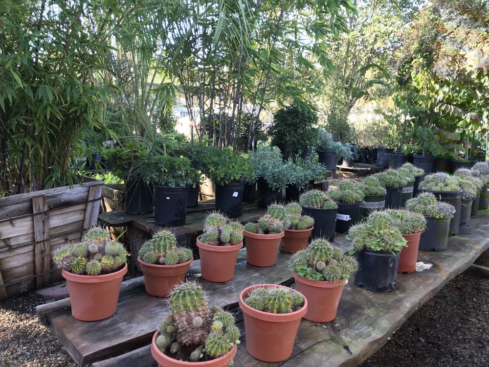 MEINERS OAKS NURSERY