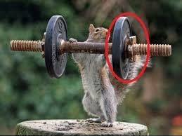 Benicia Health & Fitness Club