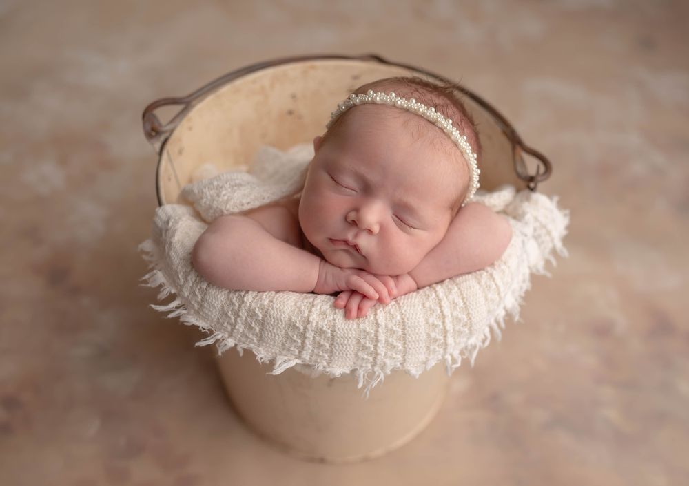 Andrea Friedman Photography