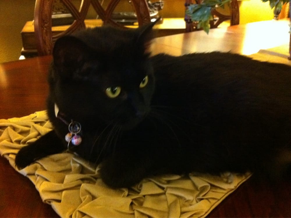 Furniture Outlet 122 Photos & 260 Reviews Furniture Stores 5005