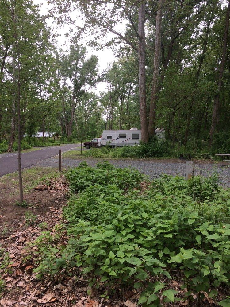 Schodack Island State Park 20 Photos Parks 1 Schodack Way