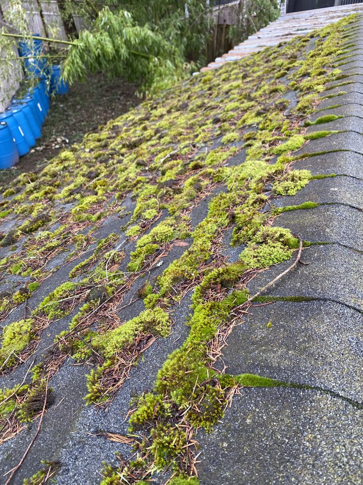 Spartan Exterior Cleaning