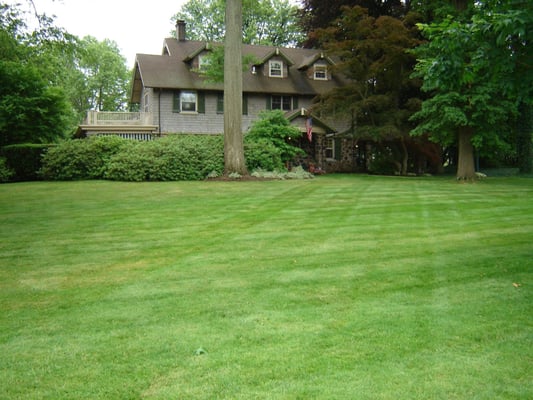 Andrews Landscaping 2070 Perkerson Rd Atlanta Ga Photo Of Andrews Landscaping Atlanta Ga United States