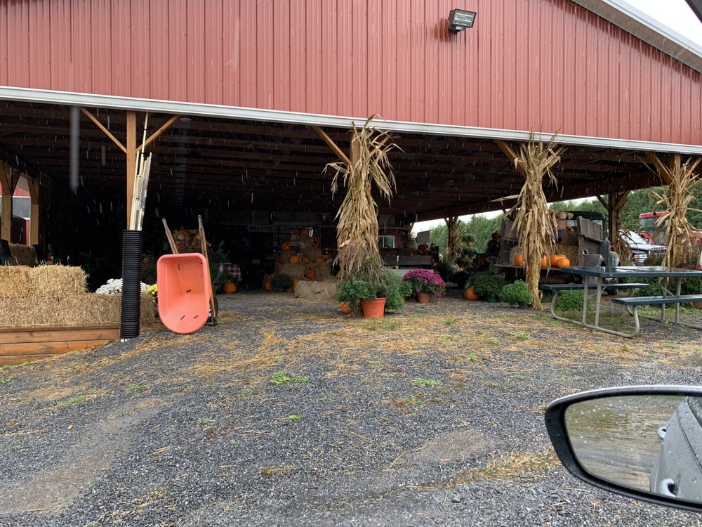 Crystal Spring Tree Farm