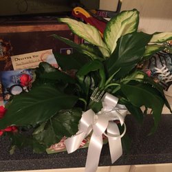 norton s florist 59