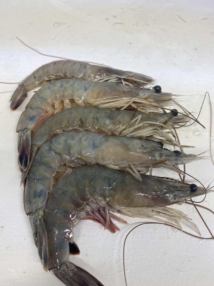 Rose's Seafood Market