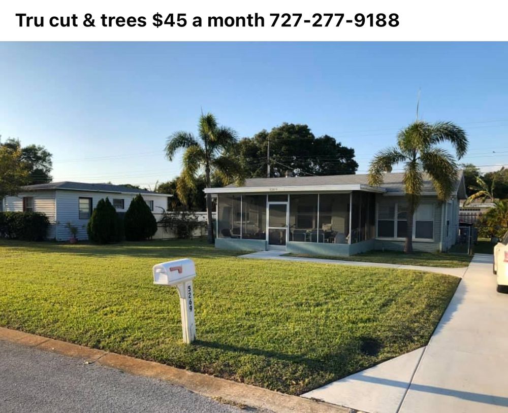 Tru Cutting Lawn Care and Trees