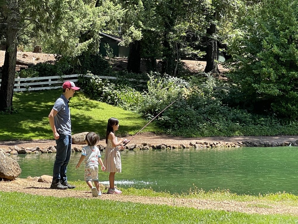 Smith's Mt. St. Helena Trout Farm & Hatchery, Calistoga Roadtrippers