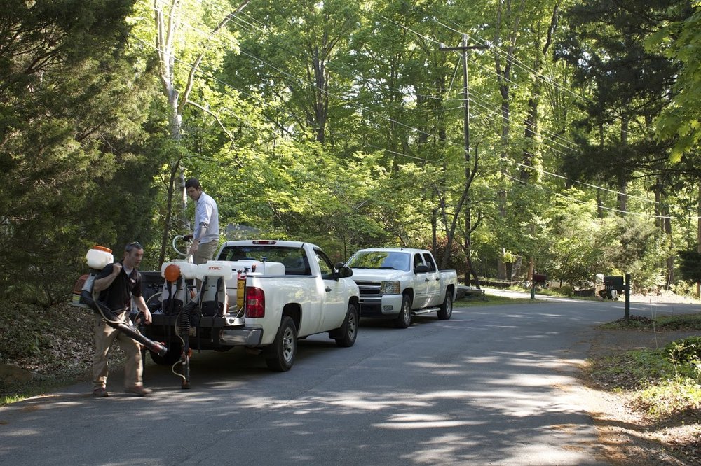 EcoTek Termite and Pest Control