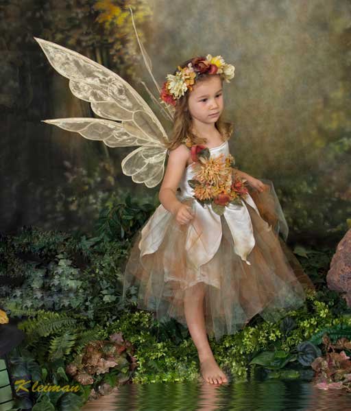 Fairy Portrait Studios