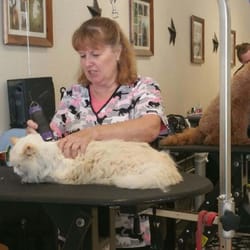 happy tails grooming prices