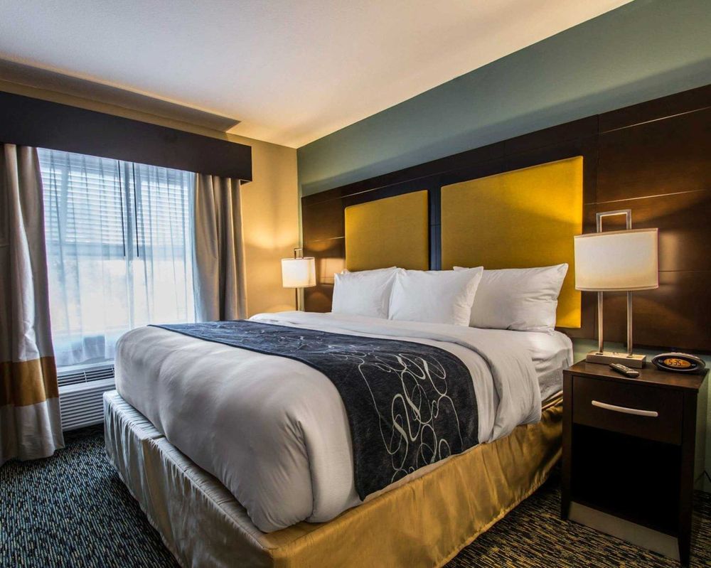 Photos For Comfort Suites Fort Lauderdale Airport South Cruise